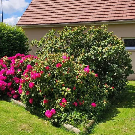 Le Ptit Normand Entre Ville & Plages Loucelles Extérieur photo