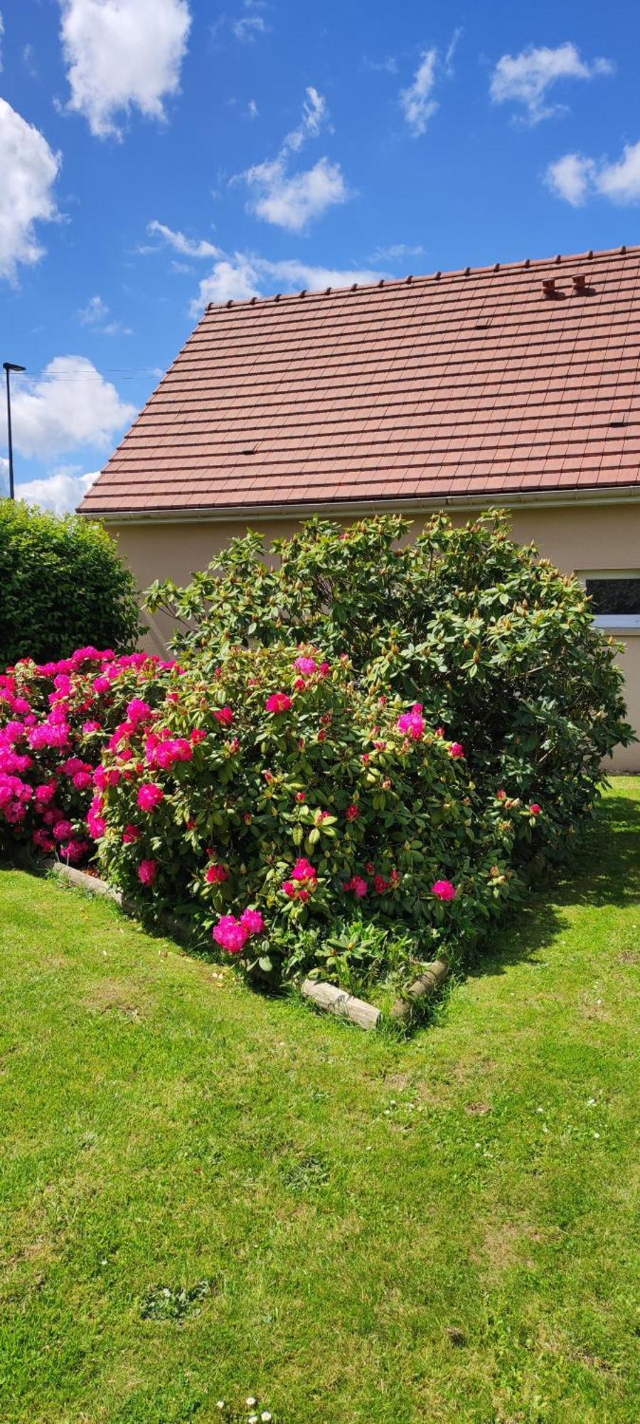 Apartment Le Ptit Normand Entre & Plages Loucelles